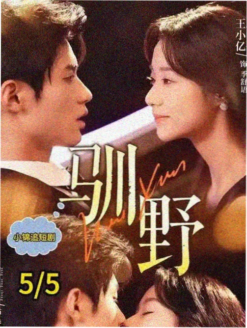 无声的证词悬疑剧集剧照
